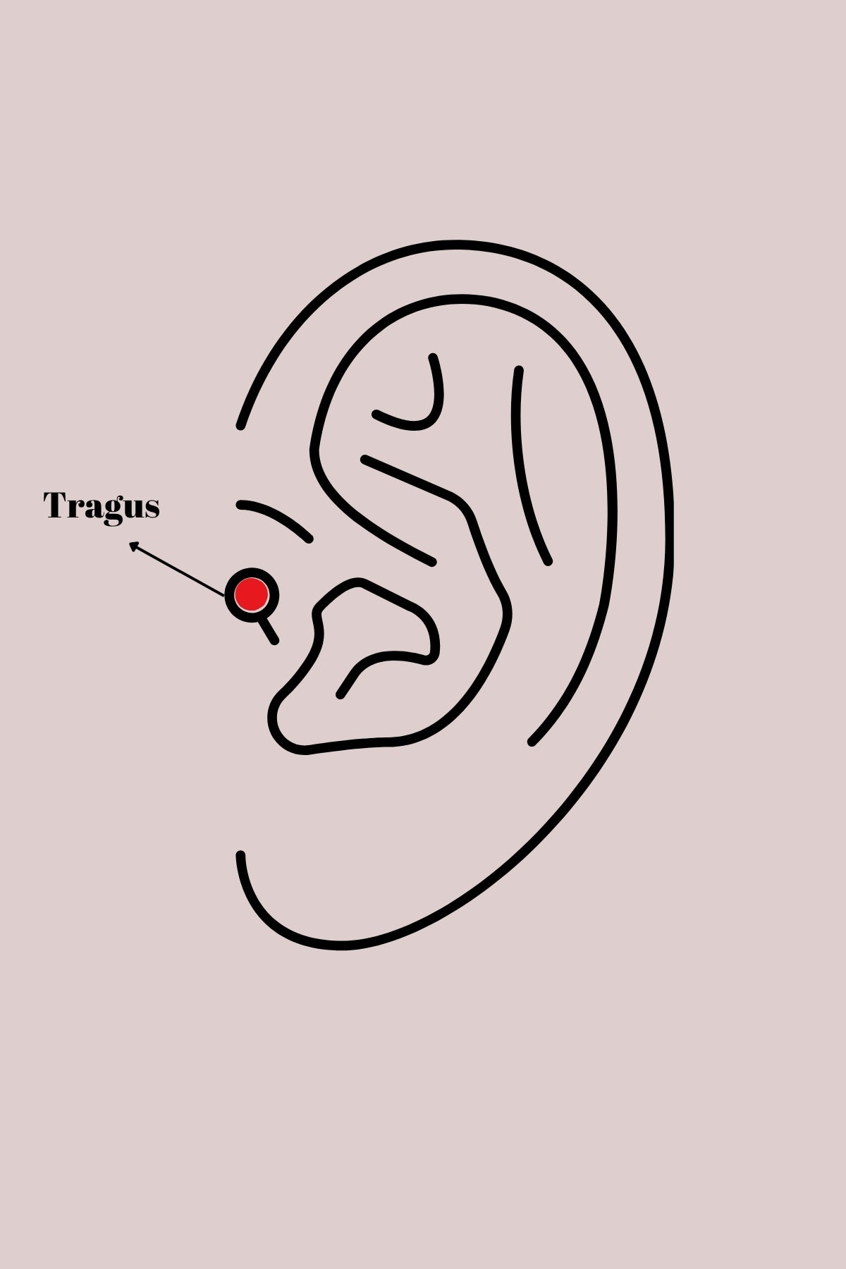 Gümüş Rengi Pembe Zirkon Taşlı Kelebek Tragus Piercing - Paslanmaz Çelik