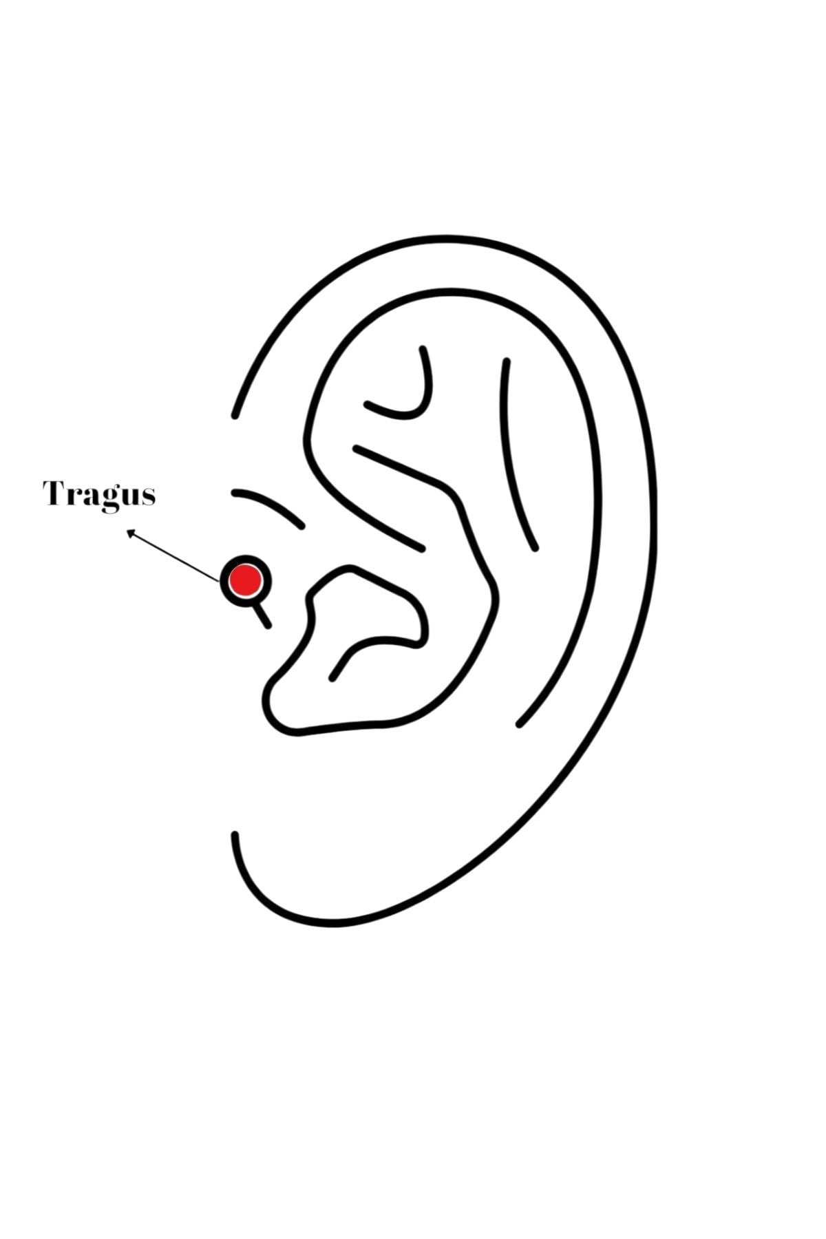 VORA HOUSE gümüş rengi zirkon taşlı ay yıldız figürlü 316L paslanmaz çelik tragus piercing modeli